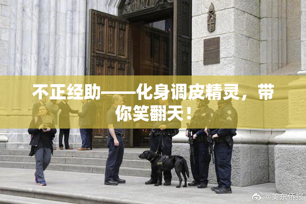 不正经助——化身调皮精灵，带你笑翻天！