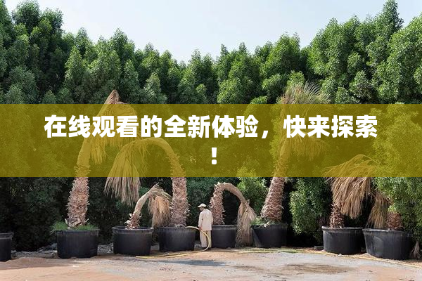 在线观看的全新体验，快来探索！
