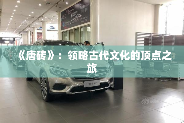 《唐砖》：领略古代文化的顶点之旅