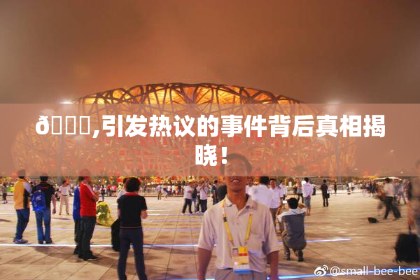 🈚,引发热议的事件背后真相揭晓！