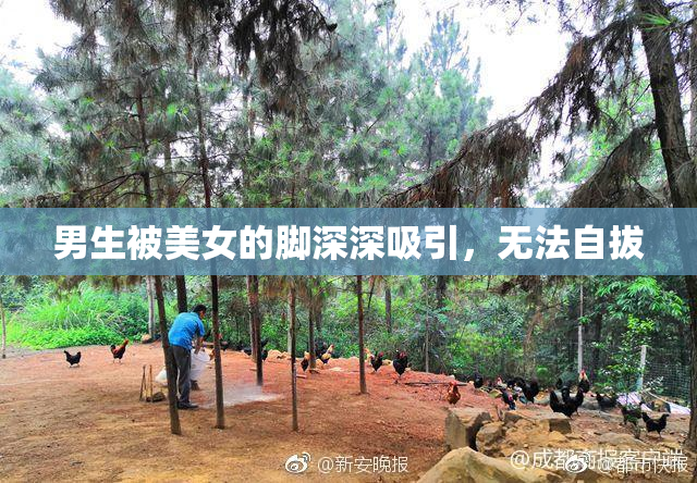 男生被美女的脚深深吸引，无法自拔