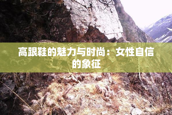 高跟鞋的魅力与时尚：女性自信的象征
