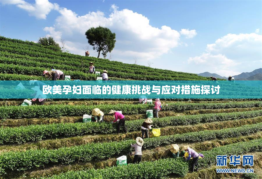 欧美孕妇面临的健康挑战与应对措施探讨