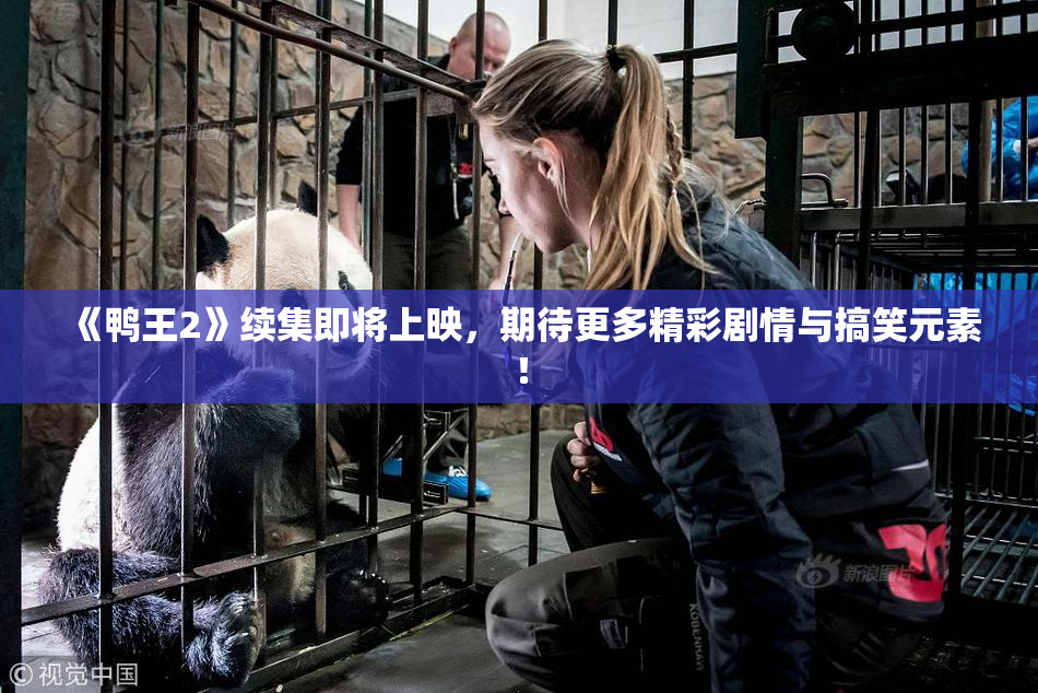 《鸭王2》续集即将上映，期待更多精彩剧情与搞笑元素！
