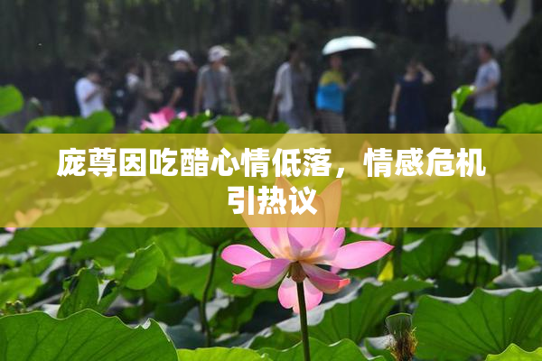 庞尊因吃醋心情低落，情感危机引热议