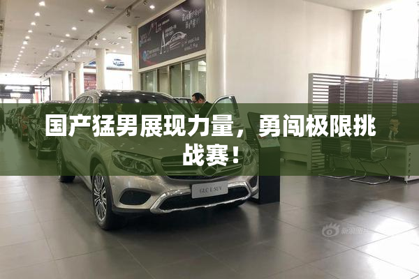 国产猛男展现力量，勇闯极限挑战赛！