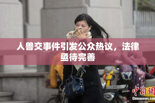 人兽交事件引发公众热议，法律亟待完善