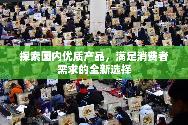 探索国内优质产品，满足消费者需求的全新选择