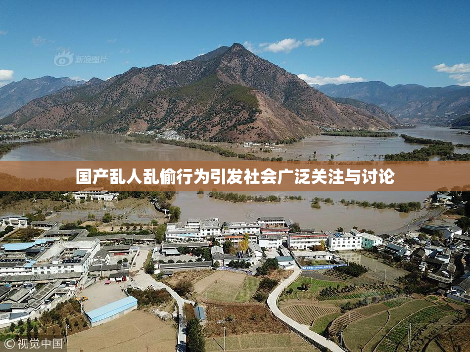 国产乱人乱偷行为引发社会广泛关注与讨论