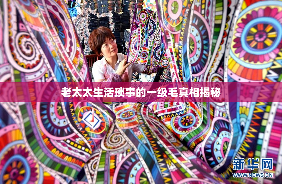 老太太生活琐事的一级毛真相揭秘