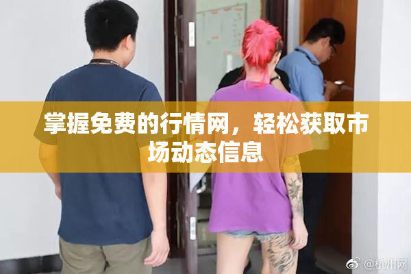 掌握免费的行情网，轻松获取市场动态信息