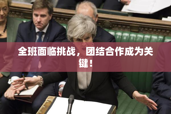 全班面临挑战，团结合作成为关键！