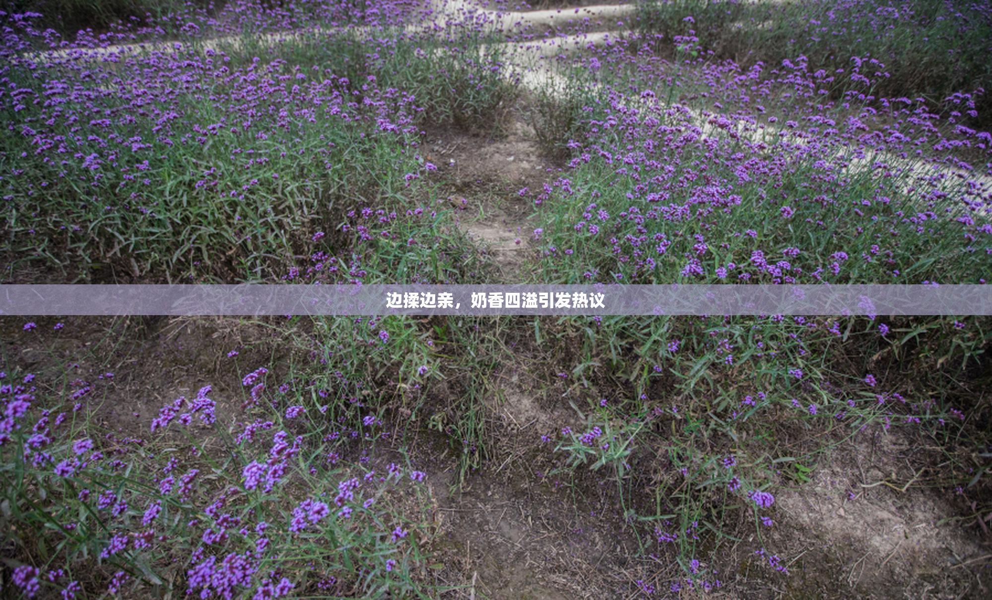 边揉边亲，奶香四溢引发热议