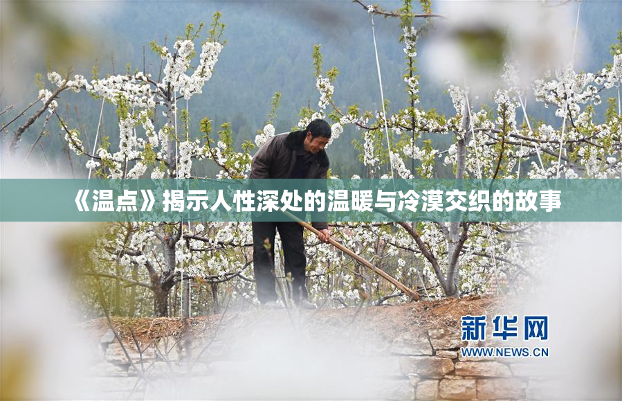 《温点》揭示人性深处的温暖与冷漠交织的故事