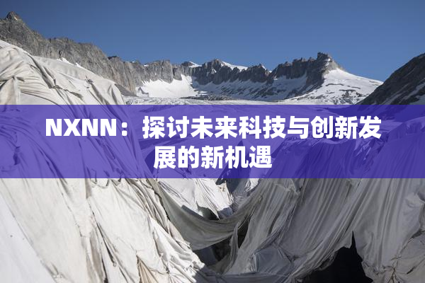NXNN：探讨未来科技与创新发展的新机遇