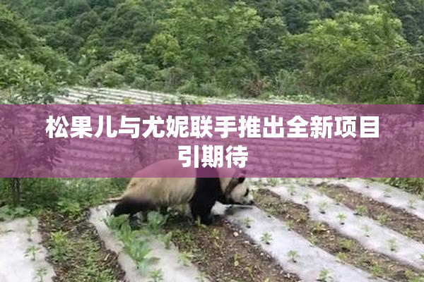 松果儿与尤妮联手推出全新项目引期待
