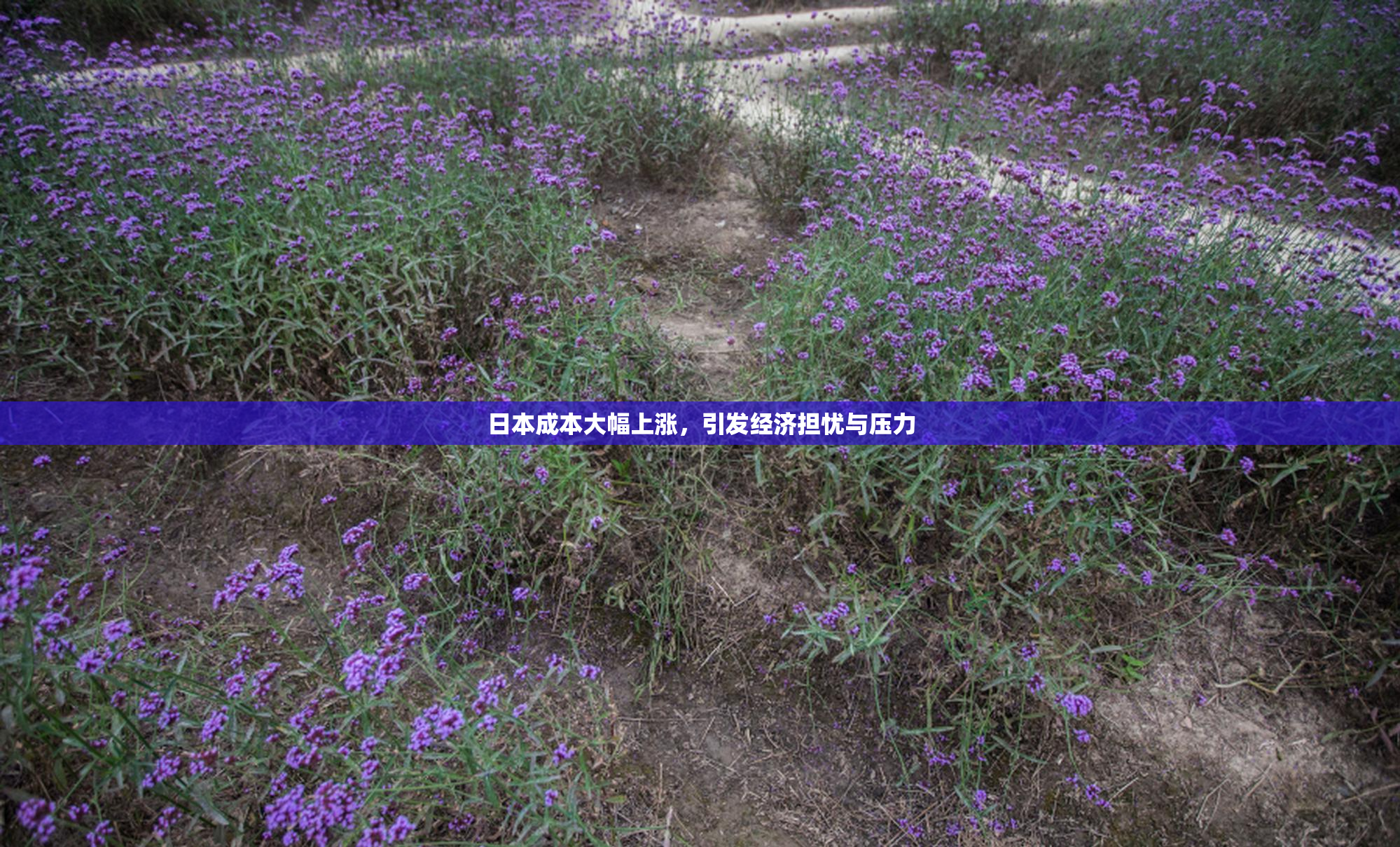 日本成本大幅上涨，引发经济担忧与压力