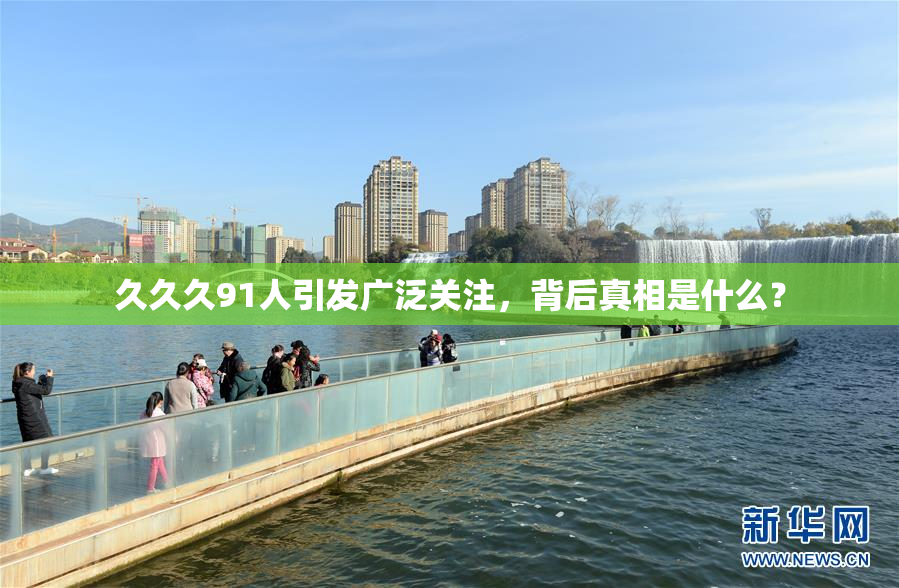 久久久91人引发广泛关注，背后真相是什么？