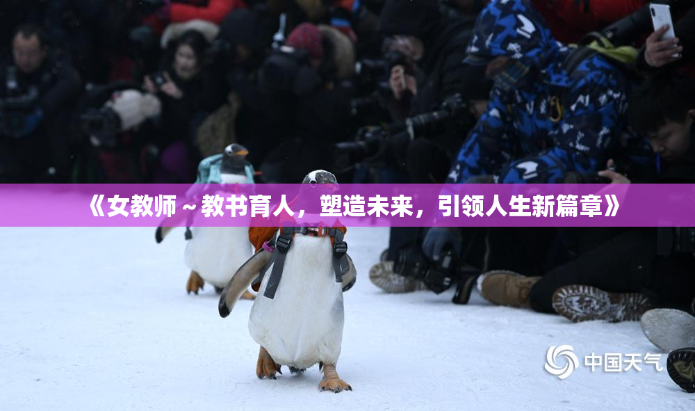 《女教师～教书育人，塑造未来，引领人生新篇章》