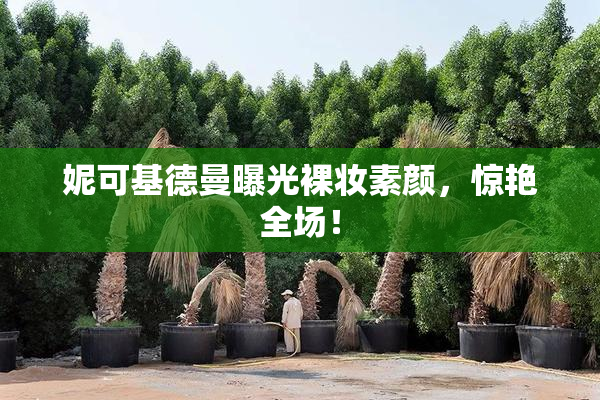 妮可基德曼曝光裸妆素颜，惊艳全场！