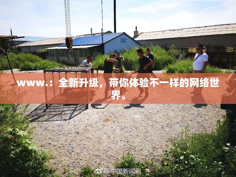 www.：全新升级，带你体验不一样的网络世界。