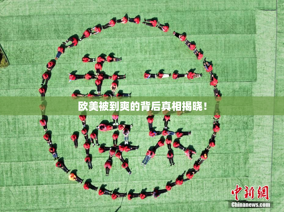 欧美被到爽的背后真相揭晓！
