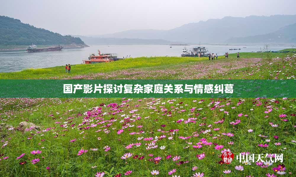 国产影片探讨复杂家庭关系与情感纠葛