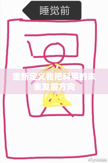 重新定义我把科莱的未来发展方向