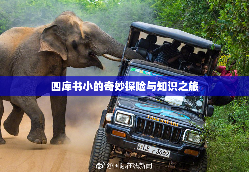 四库书小的奇妙探险与知识之旅