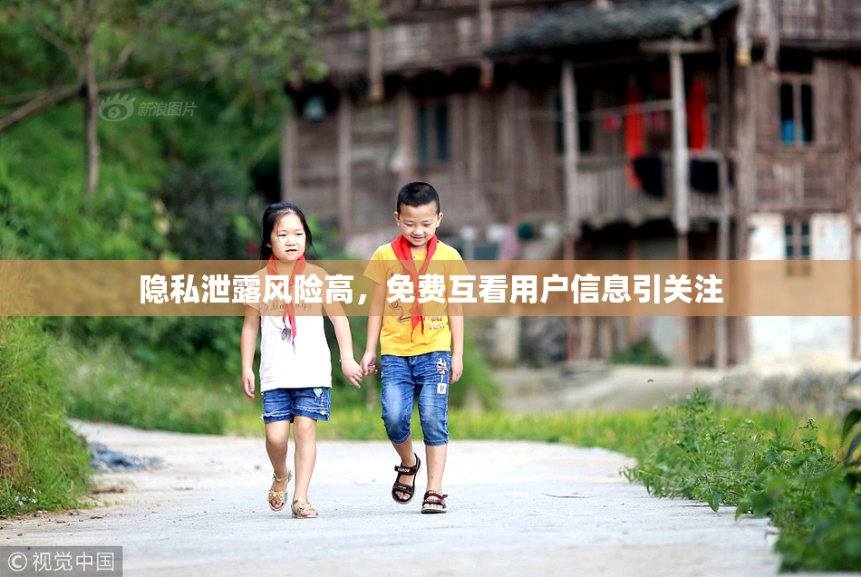 隐私泄露风险高，免费互看用户信息引关注