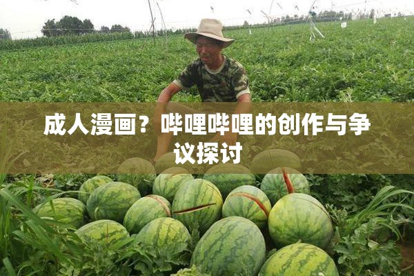 成人漫画？哔哩哔哩的创作与争议探讨