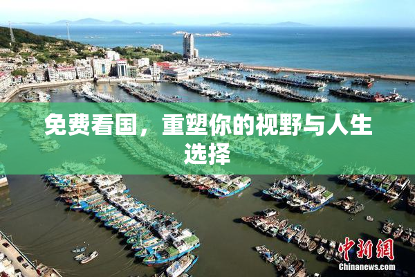 免费看国，重塑你的视野与人生选择