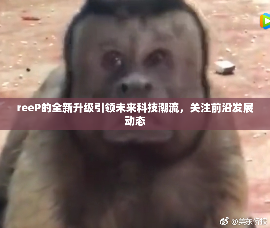 reeP的全新升级引领未来科技潮流，关注前沿发展动态