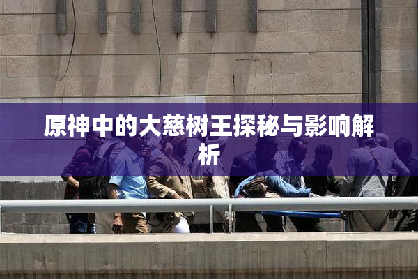 原神中的大慈树王探秘与影响解析
