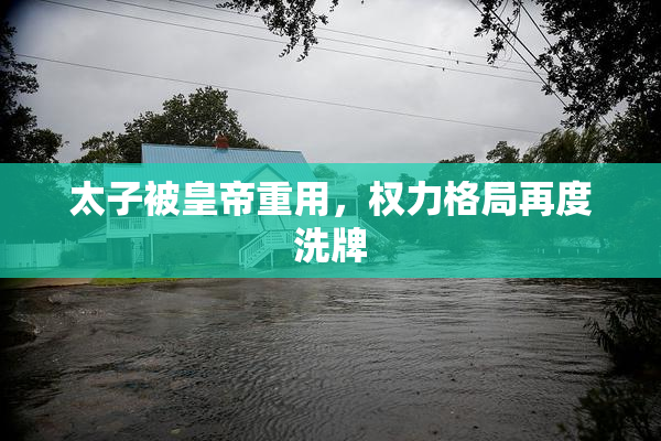 太子被皇帝重用，权力格局再度洗牌