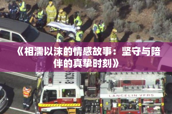 《相濡以沫的情感故事：坚守与陪伴的真挚时刻》