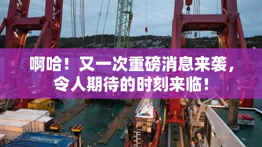 啊哈！又一次重磅消息来袭，令人期待的时刻来临！