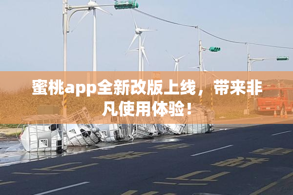 蜜桃app全新改版上线，带来非凡使用体验！