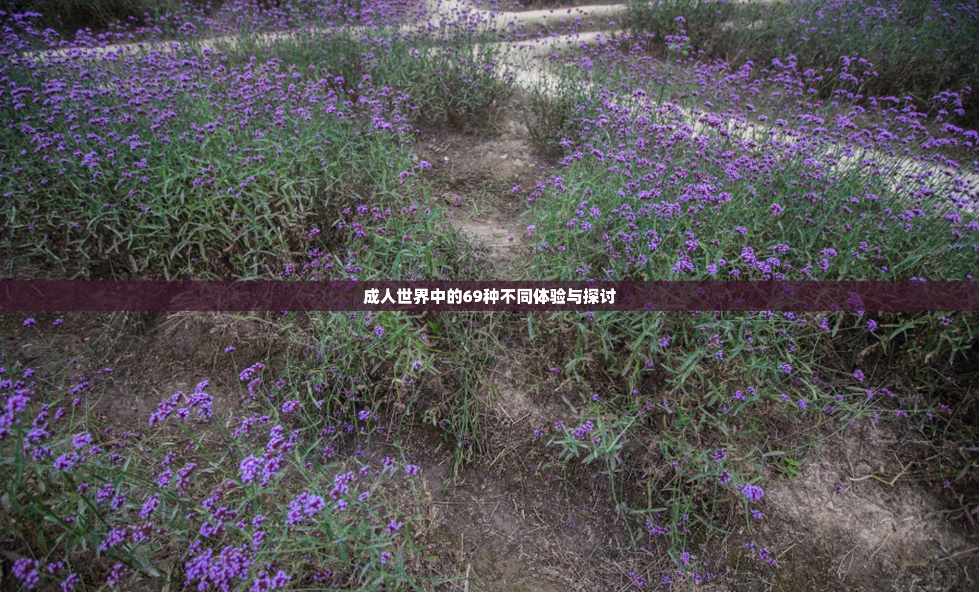 成人世界中的69种不同体验与探讨