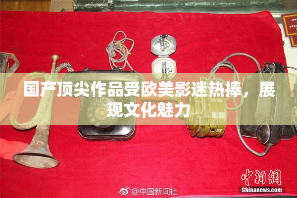 国产顶尖作品受欧美影迷热捧，展现文化魅力