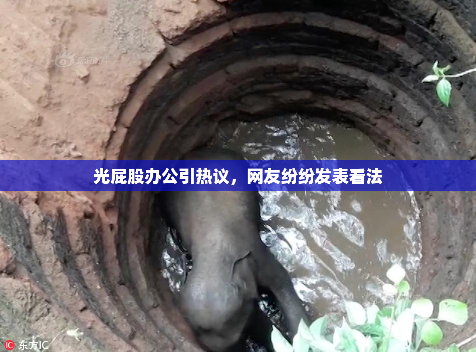 光屁股办公引热议，网友纷纷发表看法