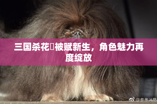三国杀花鬘被赋新生，角色魅力再度绽放