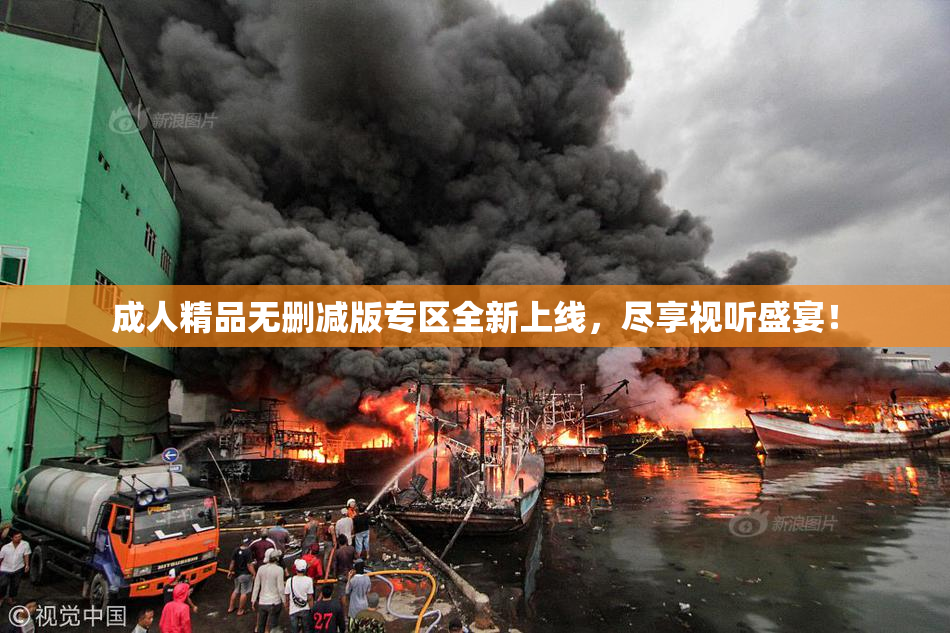 成人精品无删减版专区全新上线，尽享视听盛宴！