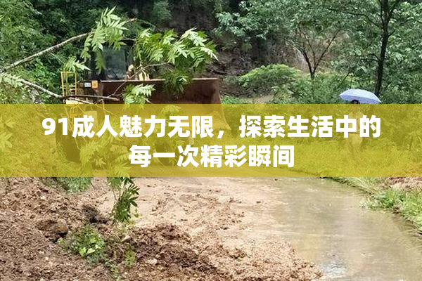 91成人魅力无限，探索生活中的每一次精彩瞬间