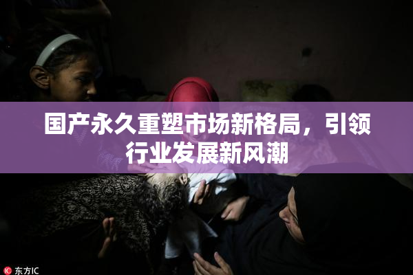 国产永久重塑市场新格局，引领行业发展新风潮