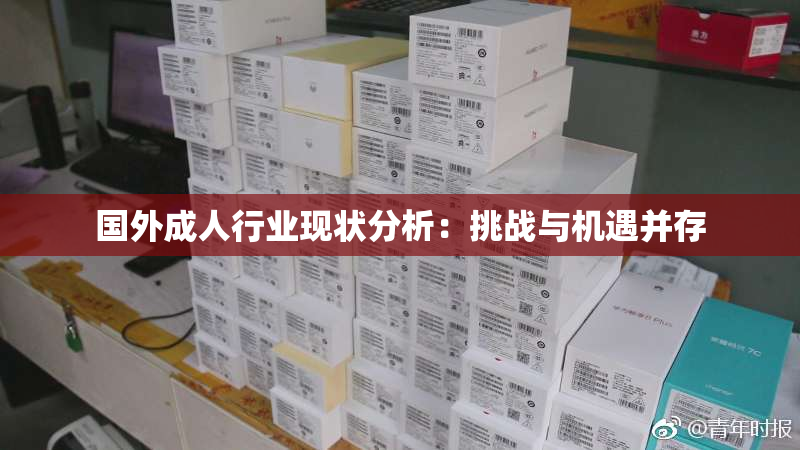 国外成人行业现状分析：挑战与机遇并存