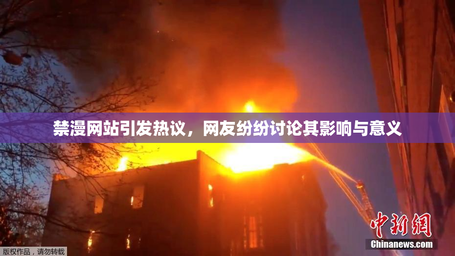禁漫网站引发热议，网友纷纷讨论其影响与意义