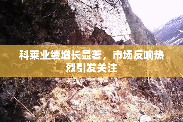科莱业绩增长显著，市场反响热烈引发关注
