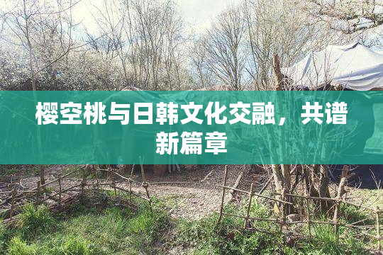 樱空桃与日韩文化交融，共谱新篇章