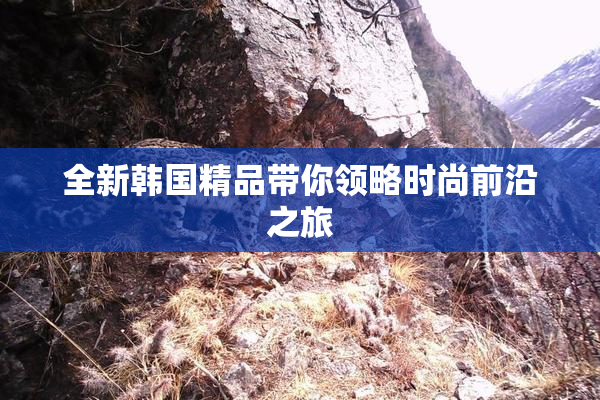 全新韩国精品带你领略时尚前沿之旅